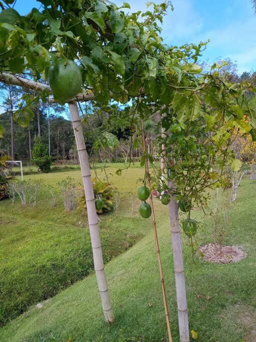 Sitio Paraiso Verde Juquitiba Eksteriør bilde