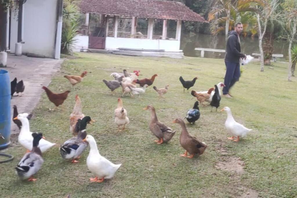 Sitio Paraiso Verde Juquitiba Eksteriør bilde