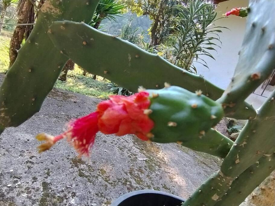 Sitio Paraiso Verde Juquitiba Eksteriør bilde