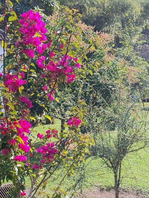 Sitio Paraiso Verde Juquitiba Eksteriør bilde